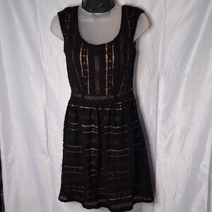 Elegant Black Lace Dress